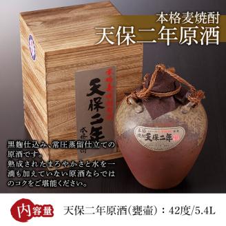 天保二年原酒 甕壷 42度(5.4L)酒 お酒 焼酎 いも焼酎 さつまいも アルコール 黒麹【HM015】【姫泉酒造合資会社】