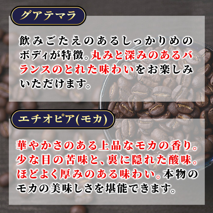 自家焙煎コーヒー豆　厳選ストレート2種400g（グアテマラ200g・エチオピア200g）珈琲 飲料 ドリンク  アウトドア キャンプ おうち時間【BC001】【Backrest Coffee】