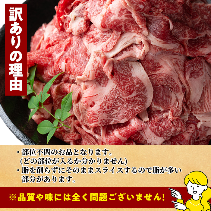＜訳あり＞宮崎牛 切り落とし(500g) 牛肉 肉 ブランド牛  冷凍 国産 精肉 お取り寄せ 黒毛和牛 宮崎県 【LJ004】【ローカルブランディング株式会社】