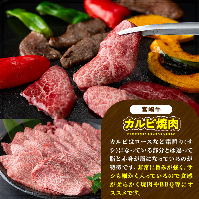 宮崎牛 カルビ焼肉(1kg・500g×2P) 牛肉 肉 ブランド牛  冷凍 国産 精肉 お取り寄せ 黒毛和牛 宮崎県 BBQ【LJ011】【ローカルブランディング株式会社】