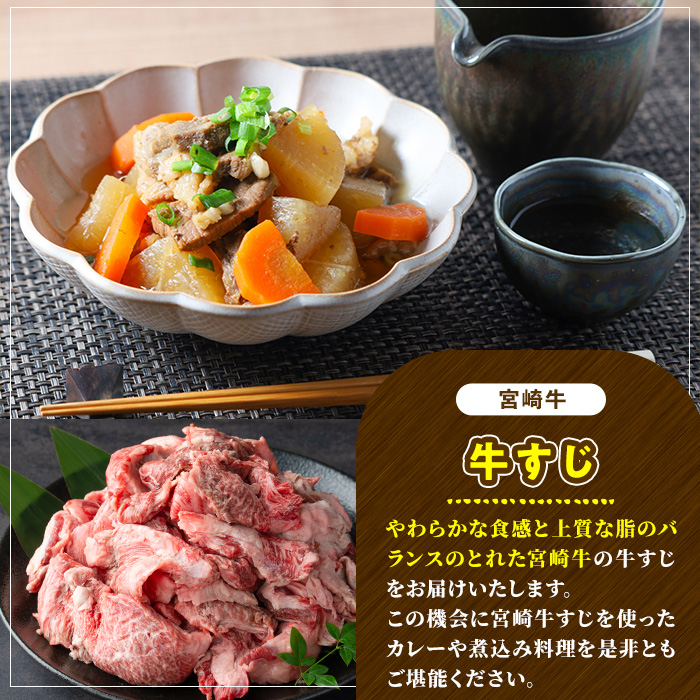 宮崎牛 牛すじ(1kg) 希少部位 BBQ 牛肉 肉 ブランド牛  冷凍 国産 精肉 お取り寄せ 黒毛和牛 宮崎県 【LJ016】【ローカルブランディング株式会社】