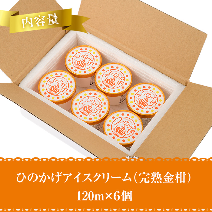 ひのかげ 完熟金柑 アイスクリーム(120ml×6個) アイス スイーツ デザート 詰め合わせ セット 冷凍 お取り寄せ グルメ きんかん＜離島配送不可＞ 【MU035】【日之影町村おこし総合産業(株)】