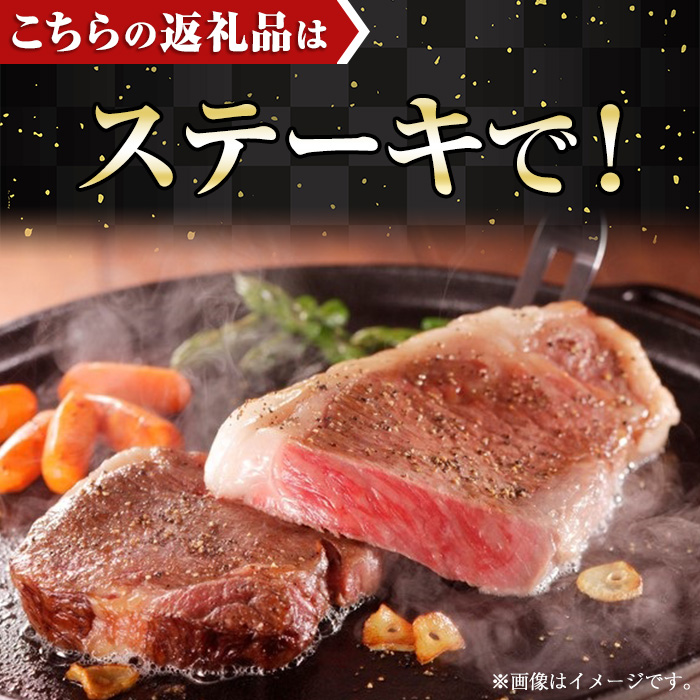 宮崎牛ロースステーキ(600g・150g×4枚)A4 A5 牛肉 精肉 肉 ブランド和牛  焼肉 お取り寄せ 国産 宮崎県【SJ001】【日本ハムマーケティング株式会社】