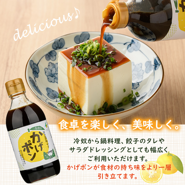 ゆずポン酢 かげポン(300ml×2本) 柚子 ユズ ポン酢 ぽんず 調味料 酢 タレ 日之影町 【TT008】【一般社団法人ツーリズム高千穂郷】