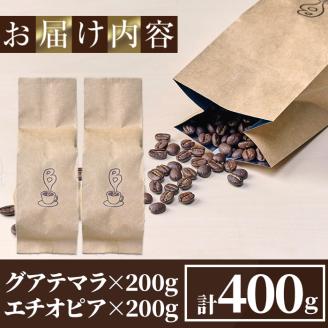 自家焙煎コーヒー豆　厳選ストレート2種400g（グアテマラ200g・エチオピア200g）珈琲 飲料 ドリンク  アウトドア キャンプ おうち時間【BC001】【Backrest Coffee】