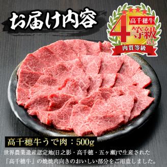 高千穂牛 ウデ焼き肉(500g)国産 宮崎県産 宮崎牛 牛肉 焼肉 ウデ肉 霜降り A4 和牛 ブランド牛  【MT001】【JAみやざき 高千穂牛ミートセンター】