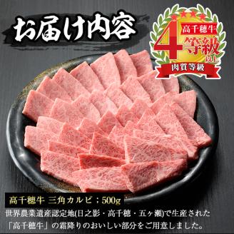 高千穂牛 三角カルビ(500g)国産 宮崎県産 宮崎牛 牛肉 焼肉 カルビ 霜降り A4 和牛 ブランド牛【MT012】【JAみやざき 高千穂牛ミートセンター】