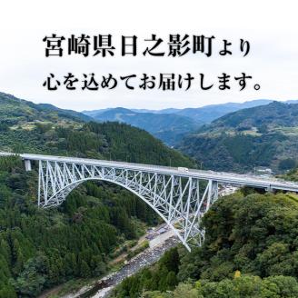 ＜ 令和7年産 ・ 新米 ＞＜定期便(連続3回)＞宮崎県産 神々の里 高千穂郷ひのひかり(5kg×2袋×3回)米 白米 精米 国産 ご飯 ブランド米【NK009】【宮崎県農業協同組合　高千穂地区本部】