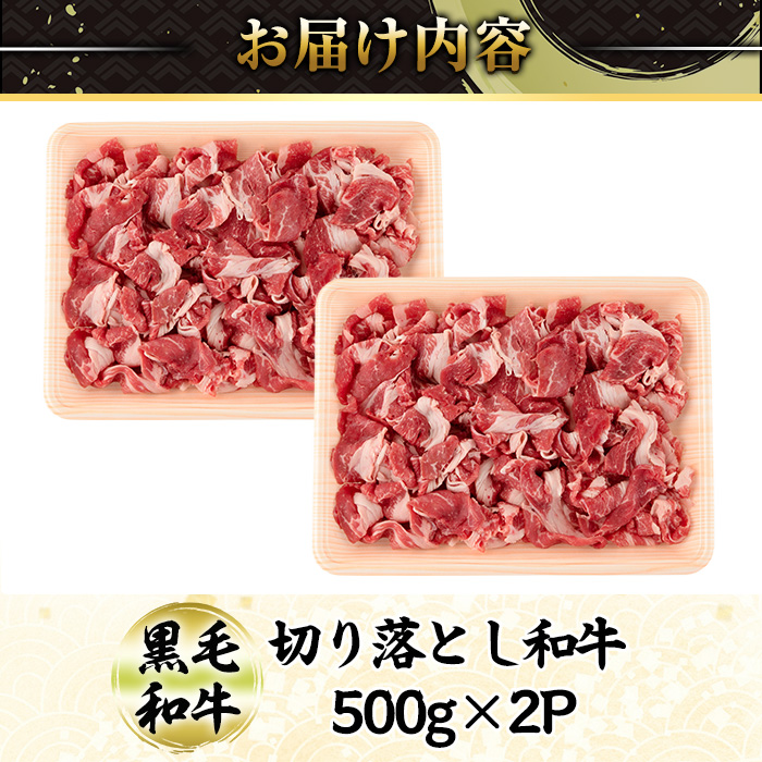 切り落とし和牛(500g×2P) 国産 宮崎県産 黒毛和牛 牛肉 こま切れ 小間切れ 炒めもの 霜降り 和牛 【AR011】【(有)有田牧畜産業 食肉加工センター】