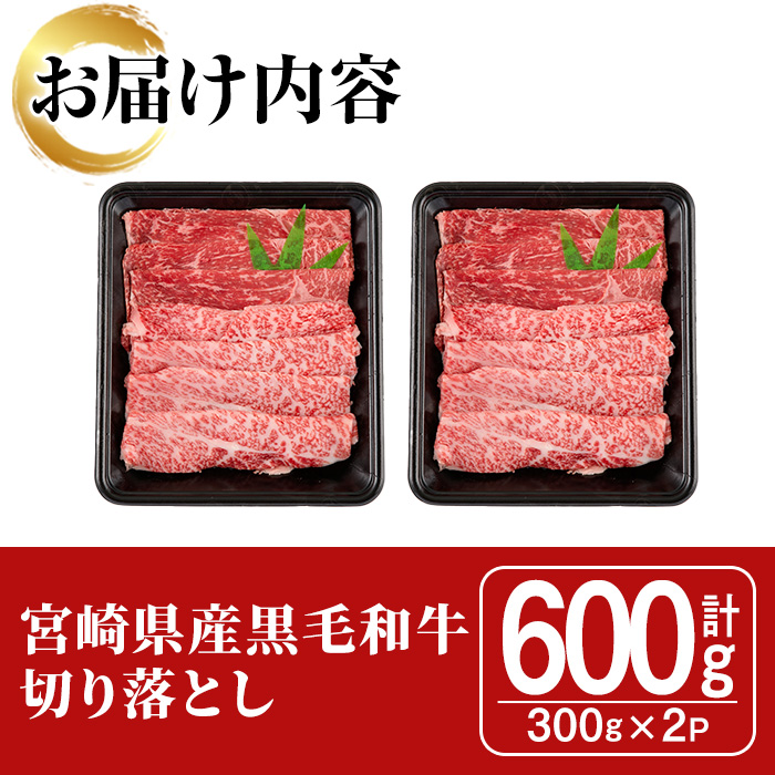 宮崎県産黒毛和牛切り落とし(600g・300g×2P) モモ カタ バラ 国産 牛肉 こま肉 精肉 宮崎県産牛 お肉 黒毛和牛 おにく お取り寄せ【SJ009】【日本ハムマーケティング株式会社】
