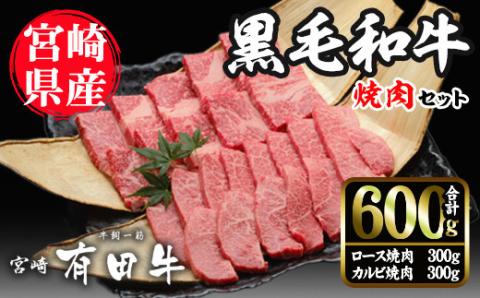 宮崎黒毛和牛焼肉セット(ロース・カルビ各300g)国産 宮崎県産 黒毛和牛 ロース カルビ 焼肉 霜降り 和牛 有田牛【AR005】【(有)有田牧畜産業 食肉加工センター】