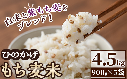 ＜ 新米 ・ 令和7年産 ＞宮崎県日之影町産 もち麦米 (900g×5袋) 数量限定 紫もち麦 ヒノヒカリ 米 精米 国産 小分け 【AF001】【株式会社ひのかげアグリファーム】