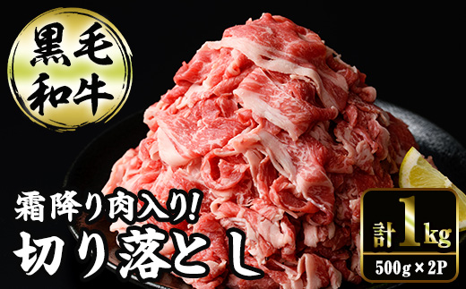 切り落とし和牛(500g×2P) 国産 宮崎県産 黒毛和牛 牛肉 こま切れ 小間切れ 炒めもの 霜降り 和牛 【AR011】【(有)有田牧畜産業 食肉加工センター】