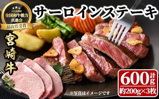 宮崎牛 サーロインステーキ(計600g・約200g×3枚)  牛肉 肉 ブランド牛  冷凍 国産 精肉 お取り寄せ 黒毛和牛 宮崎県 【LJ002】【ローカルブランディング株式会社】