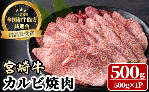 宮崎牛 カルビ焼肉(500g) 牛肉 肉 ブランド牛  冷凍 国産 精肉 お取り寄せ 黒毛和牛 宮崎県 【LJ010】【ローカルブランディング株式会社】
