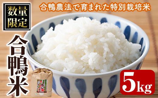 ＜ 新米 ・ 令和7年産 ＞＜数量限定＞ 合鴨 米 (5kg×1袋) 白米 精米 国産 ご飯 アイガモ 合鴨農法 5kg お米 ごはん【MU007】【日之影町村おこし総合産業(株)】