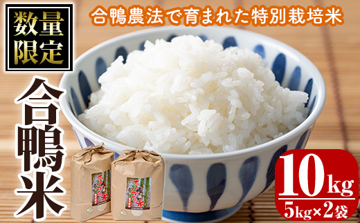 ＜ 新米 ・ 令和7年産 ＞＜数量限定＞ 合鴨 米 (5kg×2袋) 白米 精米 国産 ご飯 アイガモ 合鴨農法 10kg お米 ごはん【MU027】【日之影町村おこし総合産業(株)】