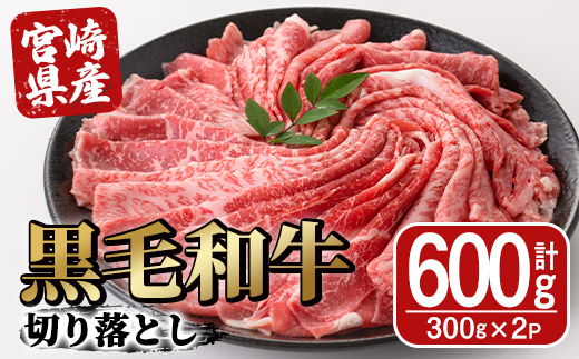 宮崎県産黒毛和牛切り落とし(600g・300g×2P) モモ カタ バラ 国産 牛肉 こま肉 精肉 宮崎県産牛 お肉 黒毛和牛 おにく お取り寄せ【SJ009】【日本ハムマーケティング株式会社】