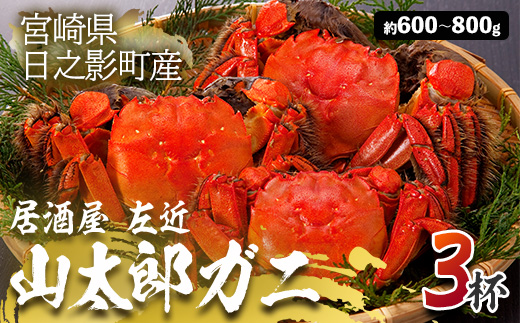 山太郎ガニ(3杯・約600g-800g)海鮮 魚介類 蟹 カニ モクズガニ【SK001】【居酒屋 左近】
