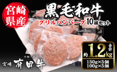宮崎黒毛和牛100％グリルハンバーグ10個セット(150g×5個・100g×5個)国産 宮崎県産 黒毛和牛 ハンバーグ 炒めもの【AR003】【(有)有田牧畜産業 食肉加工センター】