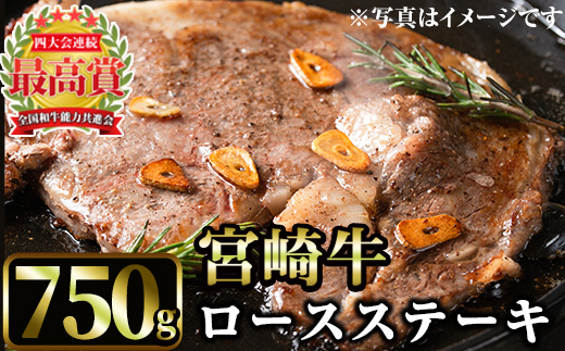 ＜先行予約受付中！2026年1月以降順次発送予定＞宮崎牛ロースステーキ(750g・3枚) 国産 宮崎県産 宮崎牛 牛肉 ステーキ A4 和牛 ブランド牛 ロース 【MI045】【(株)ミヤチク宮崎加工センター】