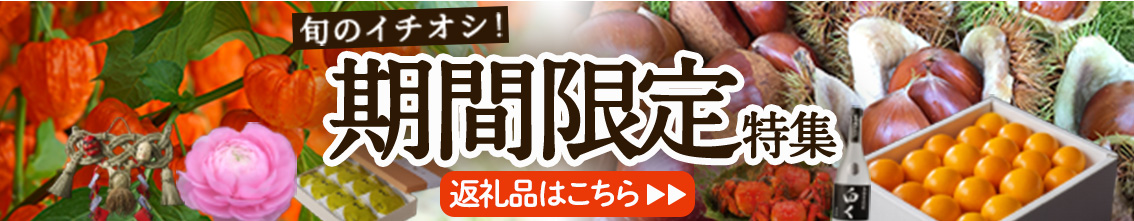 期間限定