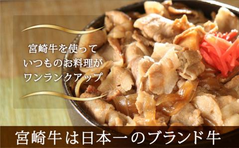 宮崎牛切り落とし600(300×2)