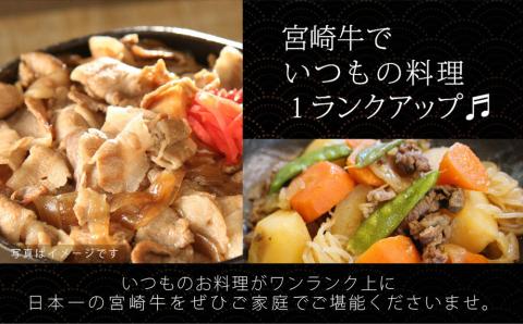 宮崎牛切り落とし600(300×2)