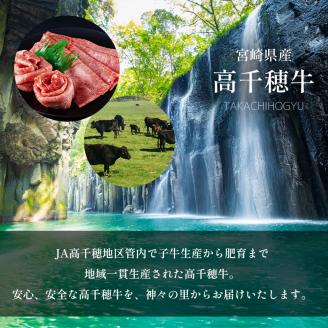 高千穂牛 サーロインステーキ 2枚