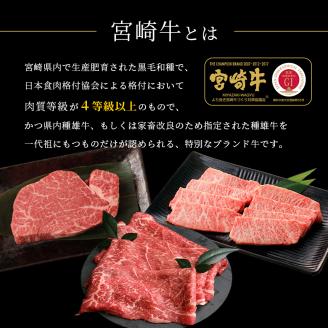 宮崎牛 カルビ焼肉 500g