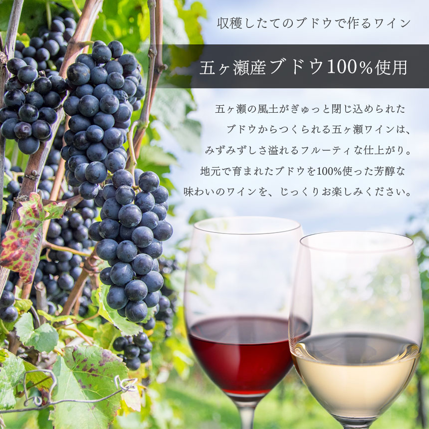 五ヶ瀬ワイン　夕陽(赤・辛口)