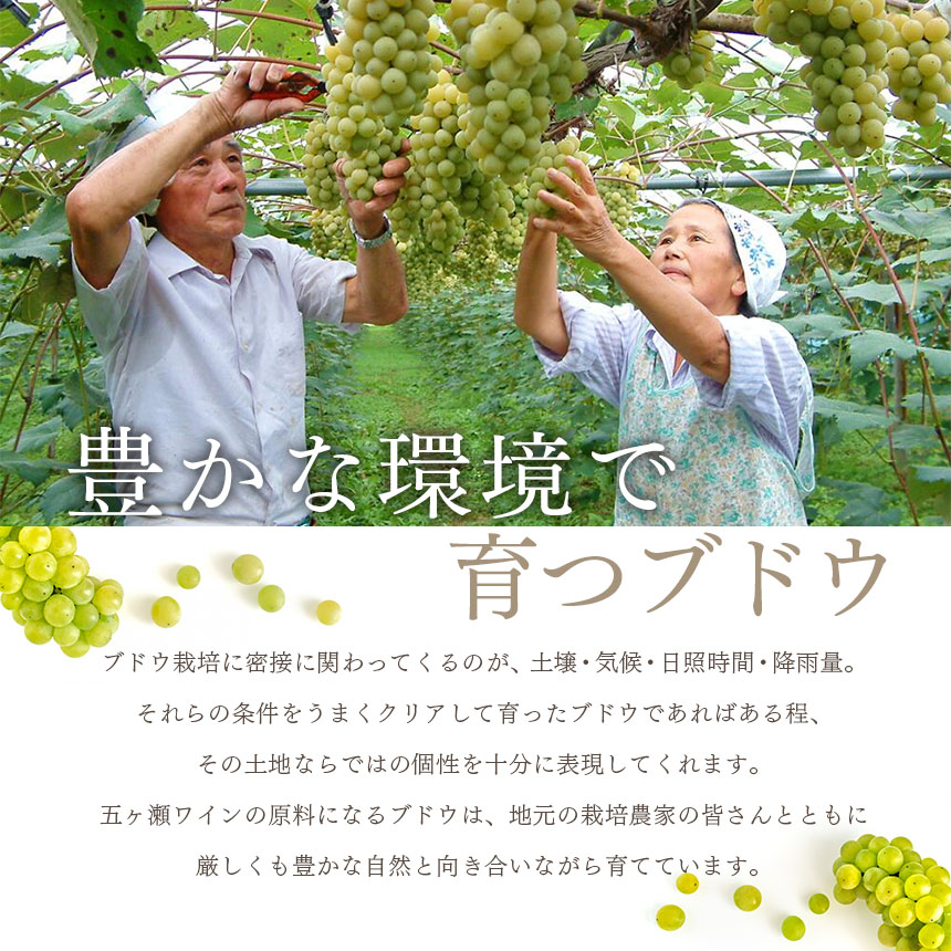 五ヶ瀬スパークリングワイン飲み比べセット