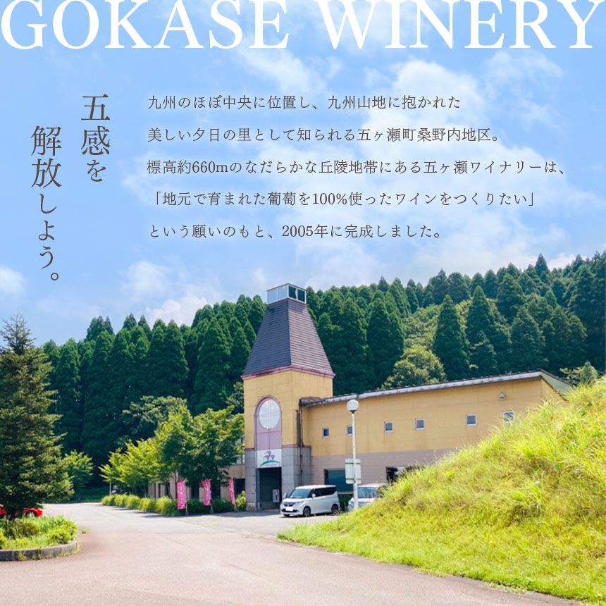 五ヶ瀬ワイン　キャンベルアーリー(ロゼ・やや甘口)