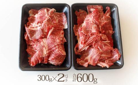 宮崎牛切り落とし600(300×2)