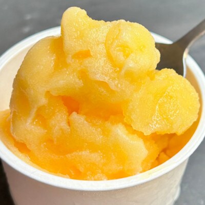 屋久島氷菓8点セット【配送不可地域：離島】