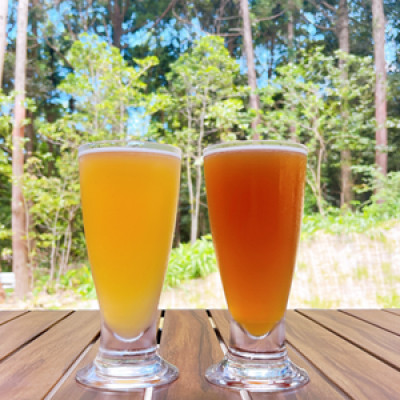 アイランドエール6本セット【配送不可地域：離島】