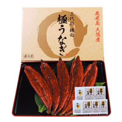 楠田の極みうなぎ蒲焼き5尾(170g～189g×5尾)【配送不可地域：離島】