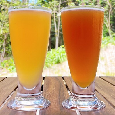 アイランドエール6本セット【配送不可地域：離島】