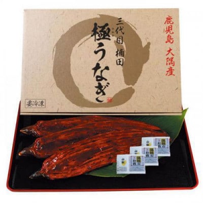 楠田の極みうなぎ蒲焼き3尾(170g～189g×3尾)【配送不可地域：離島】