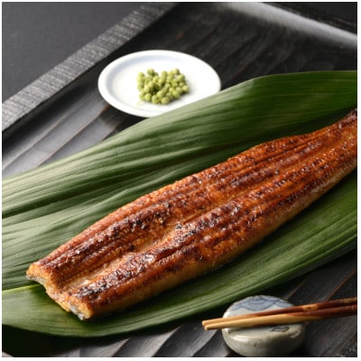 楠田の極うなぎ蒲焼き10尾(170g～189g×10尾)【配送不可地域：離島】