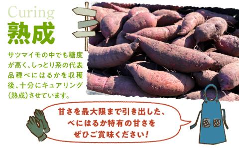 サイズバラバラ熟成べにはるか（生芋）土付き 5kg　K270-001