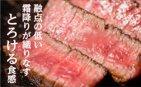 鹿児島市 【岩元精肉店】鹿児島県産黒毛和牛ヒレステーキ5枚（600g）6ヵ月お届けコース　K045-T05