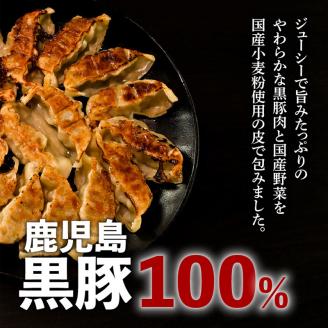 鹿児島黒豚100％餃子 32個入り K027-007: 鹿児島市ANAのふるさと納税