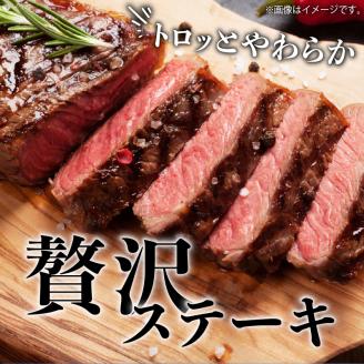 【希少部位】鹿児島県産黒毛和牛5等級ミスジ ステーキ 600g　K086-035