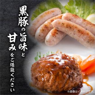 【毎月数量限定】黒豚生ハンバーグ8個＆黒豚生ソーセージ２P「黒豚グリル三昧」　K086-019