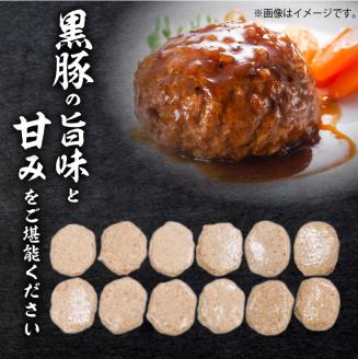 鹿児島県産黒豚生ハンバーグ150gｘ12個　K086-017