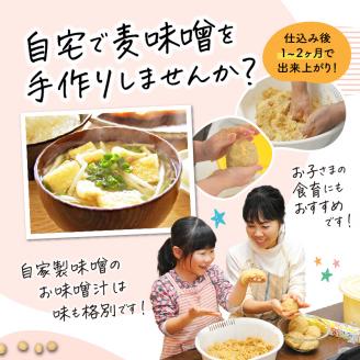 「かねよ みそ しょうゆ」麦味噌手作りキット 3kg　K058-004