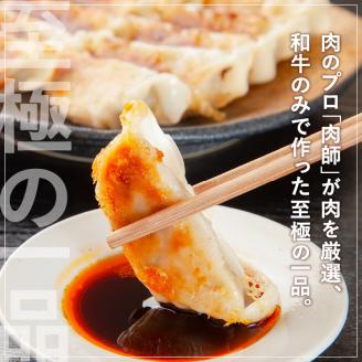 黒毛和牛100%牛餃子12個入り × 6Pセット　K098-006