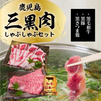 【5営業日以内に発送】鹿児島三黒肉（黒毛和牛・黒豚・黒さつま鶏）のしゃぶしゃぶセット 700g　K134-006