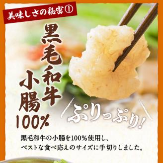 黒毛和牛もつ鍋セット2～3人前　K130-004